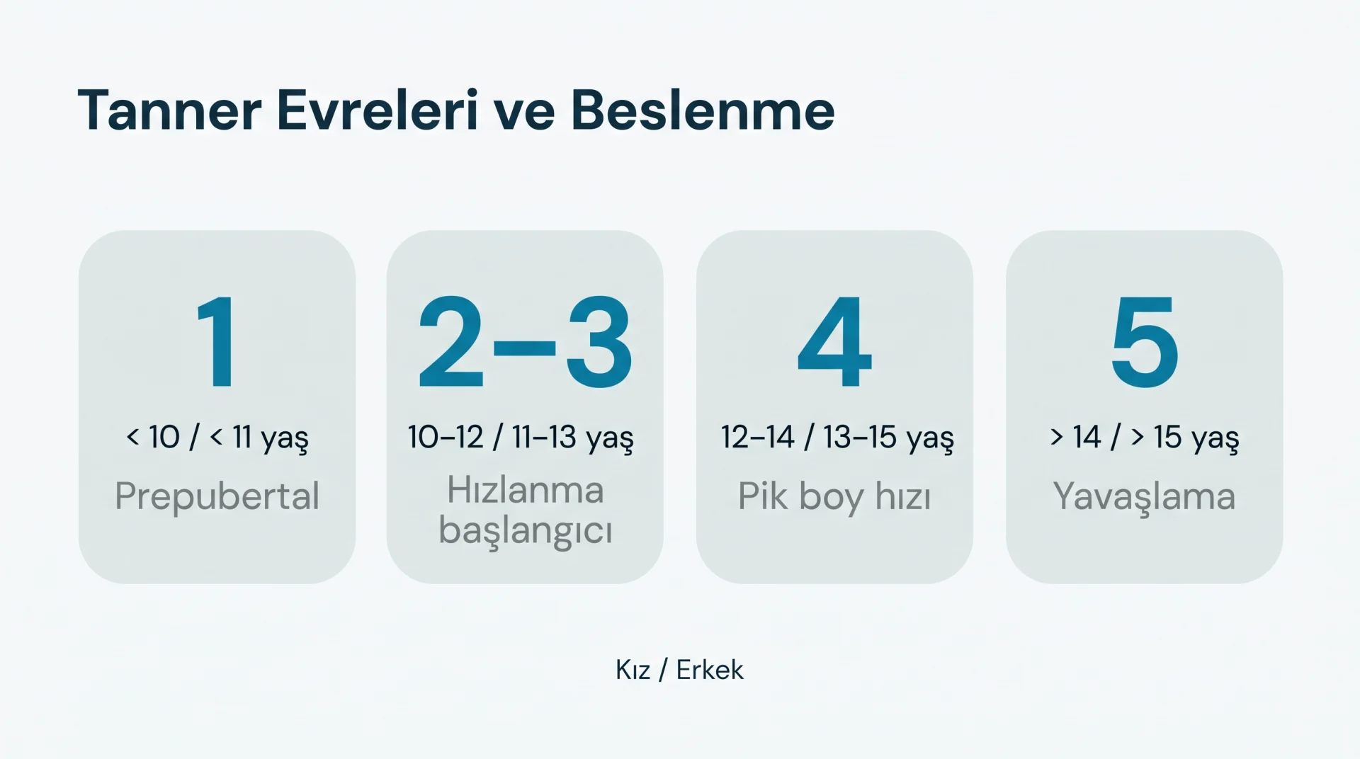 Tanner Evreleri ve Beslenme şeması