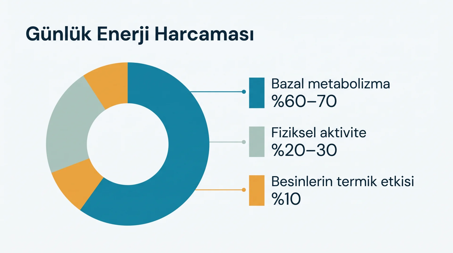 Günlük Enerji Harcaması şeması
