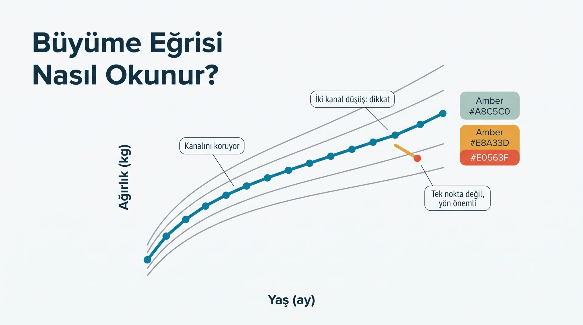 Büyüme Eğrisi Nasıl Okunur? şeması