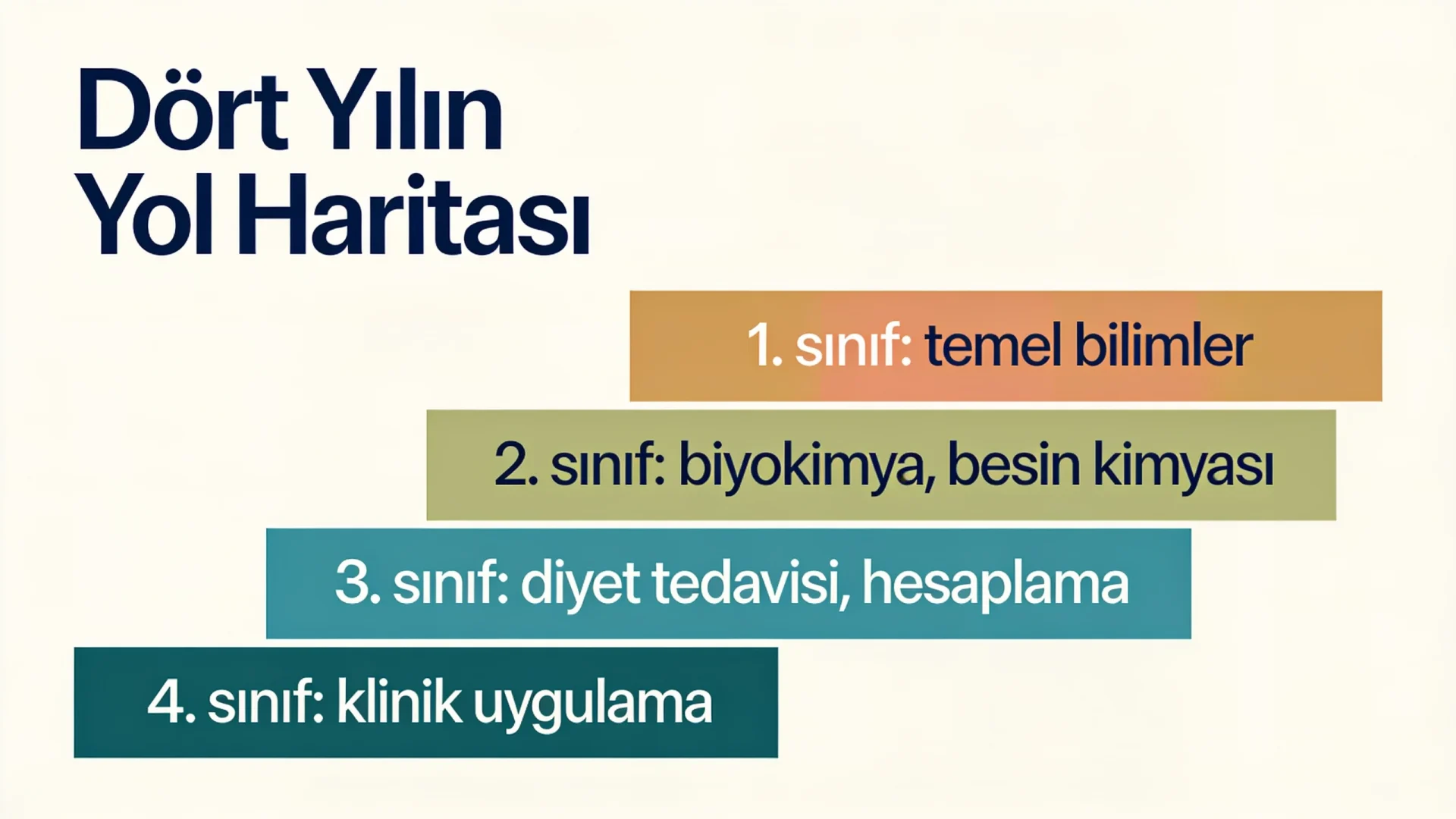 Beslenme ve diyetetik öğrencisinin dört yıllık eğitimini temel bilimlerden klinik uygulamaya basamaklarla gösteren şema