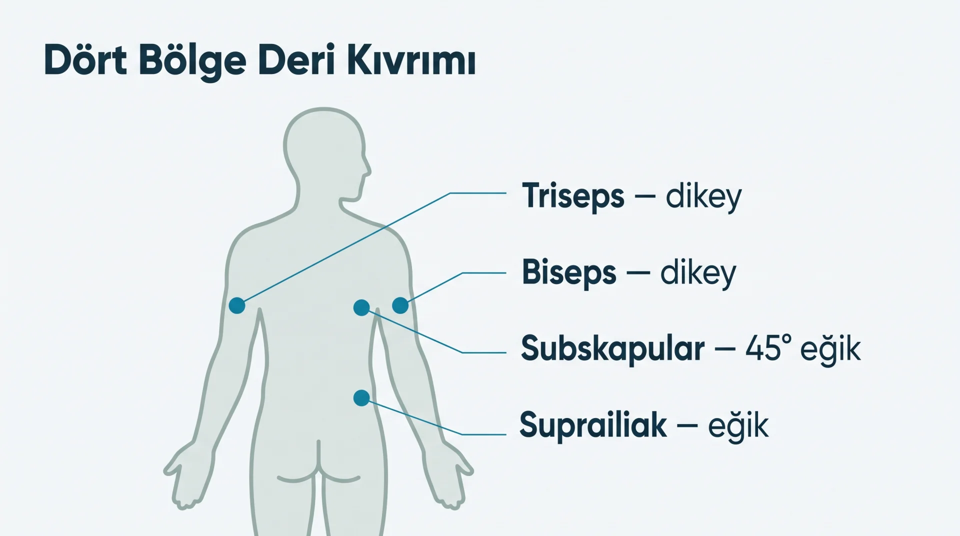 Dört Bölge Deri Kıvrımı şeması