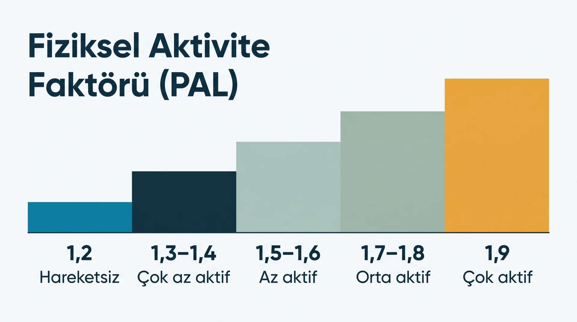 Fiziksel Aktivite Faktörü (PAL) şeması