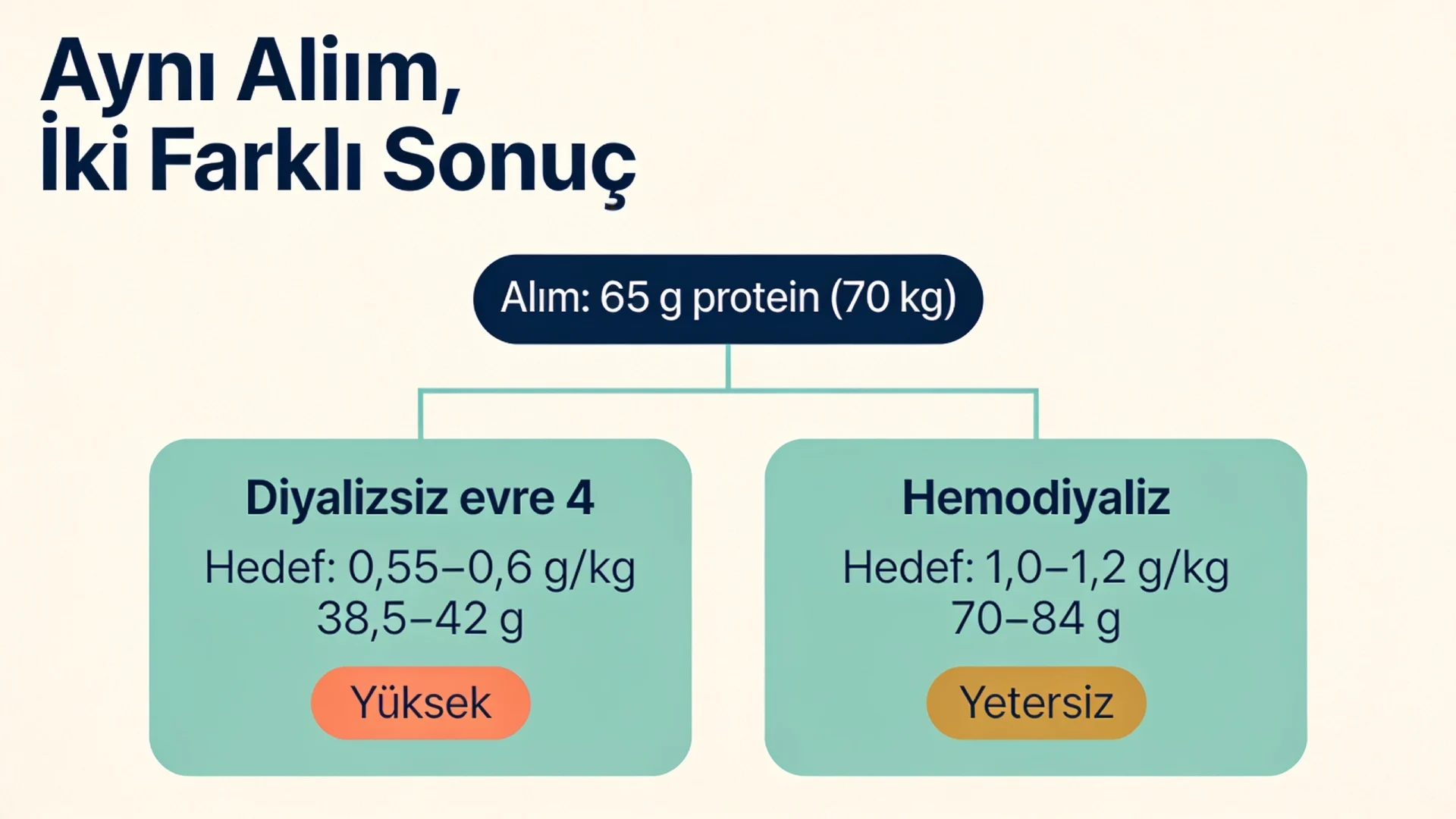 Hastalığa özgü beslenme değerlendirmesi örneği: aynı 65 g protein alımı diyalizsiz ve diyalizli hastada farklı sonuç