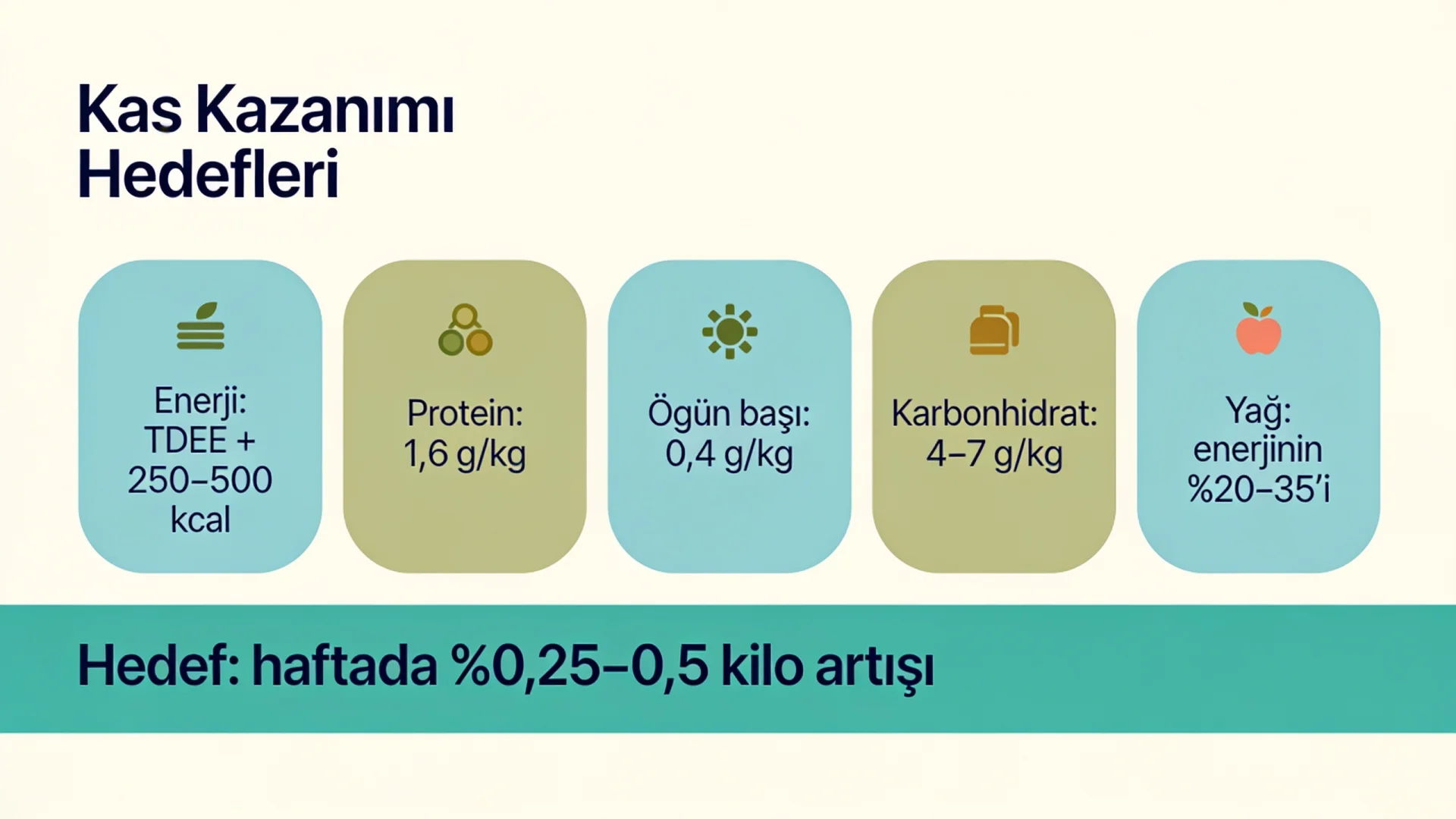 Kas yapmak için beslenme hedefleri şeması: enerji fazlası, protein, öğün başı protein, karbonhidrat ve yağ oranları