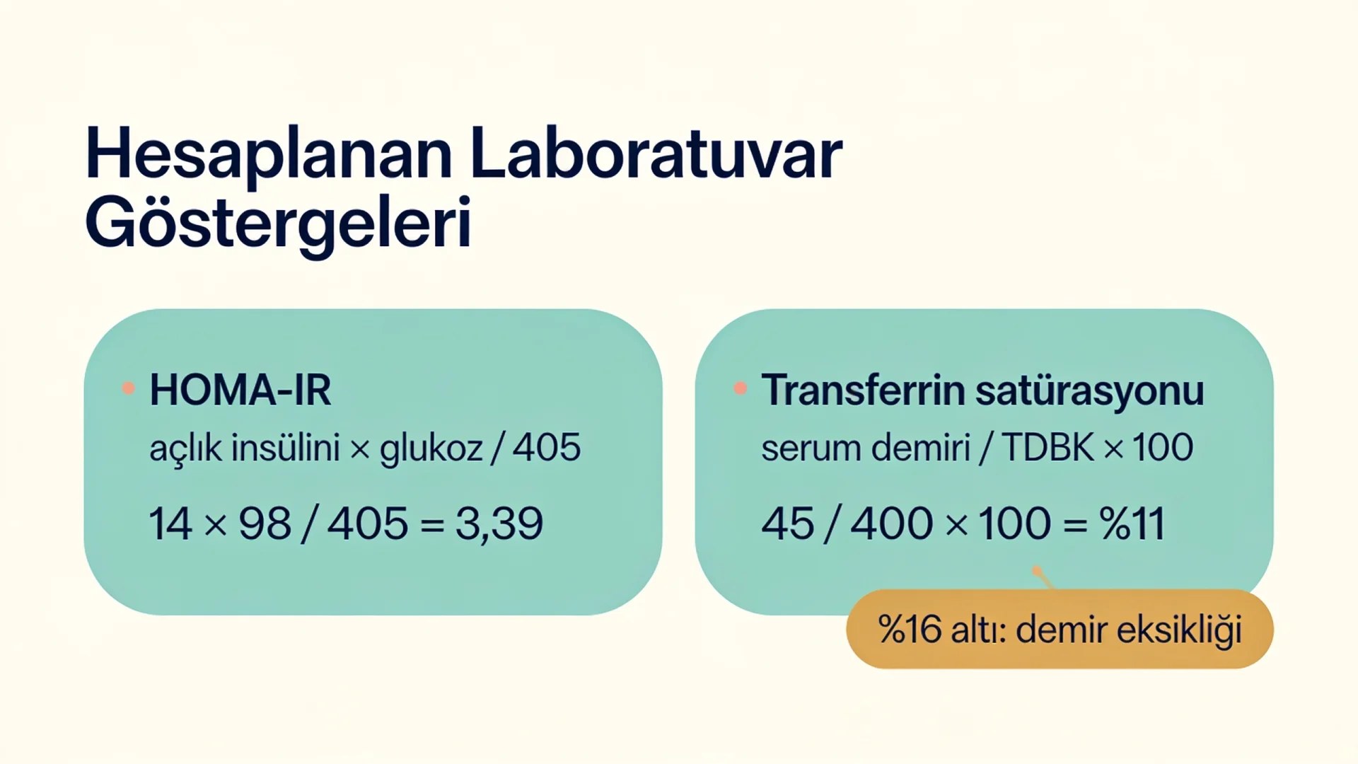 Laboratuvar takibinde hesaplanan göstergeler şeması: HOMA-IR ve transferrin satürasyonu formülleri ile örnek değerler