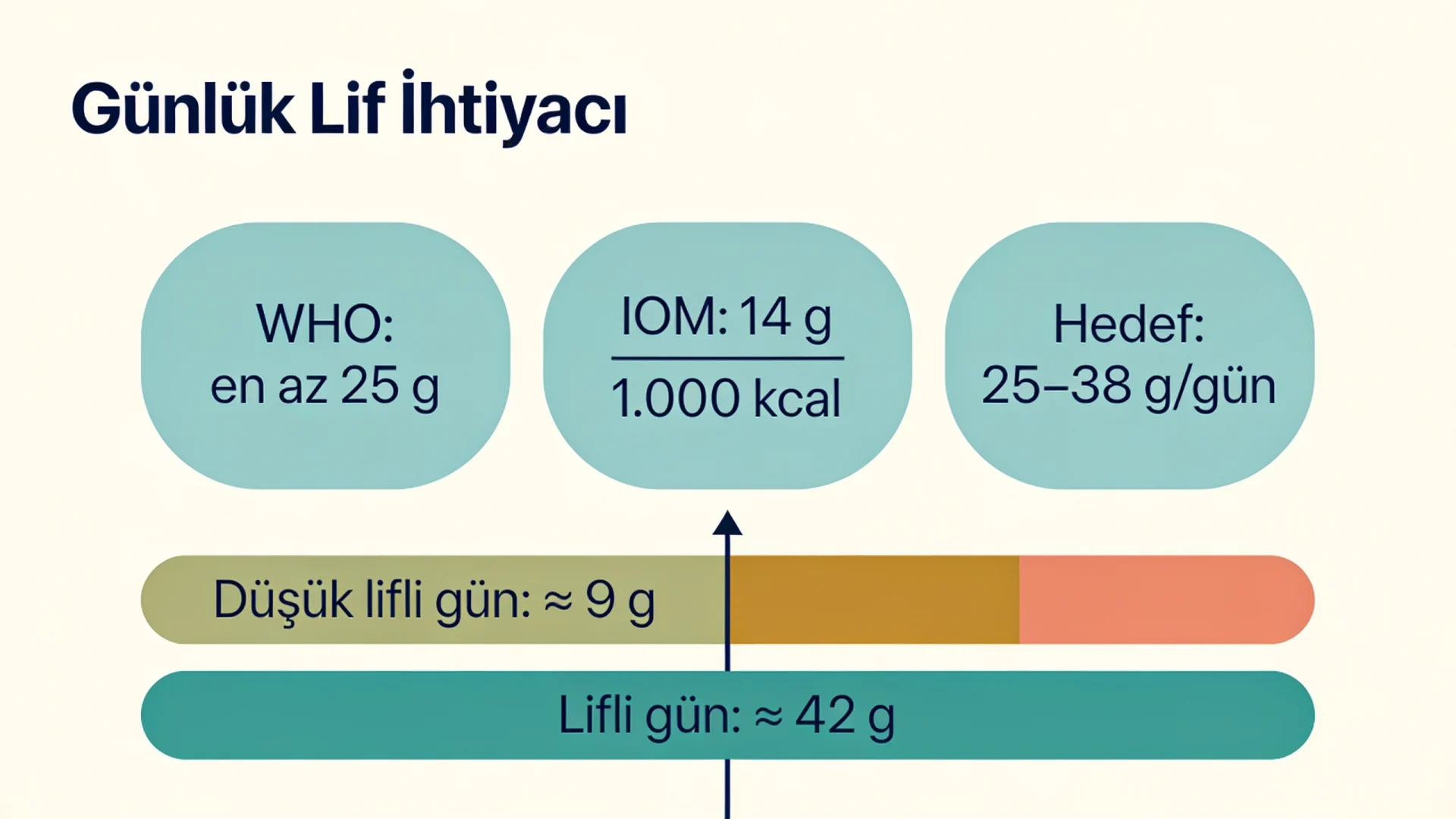 Günlük lif ihtiyacı şeması: WHO ve IOM önerileri ile düşük lifli gün ve lifli besinlerle kurulan gün karşılaştırması