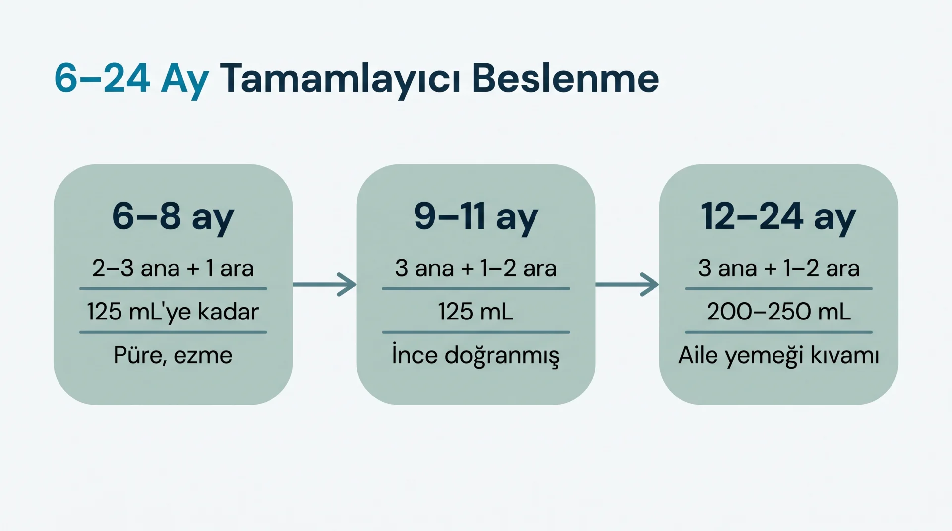 6–24 Ay Tamamlayıcı Beslenme şeması