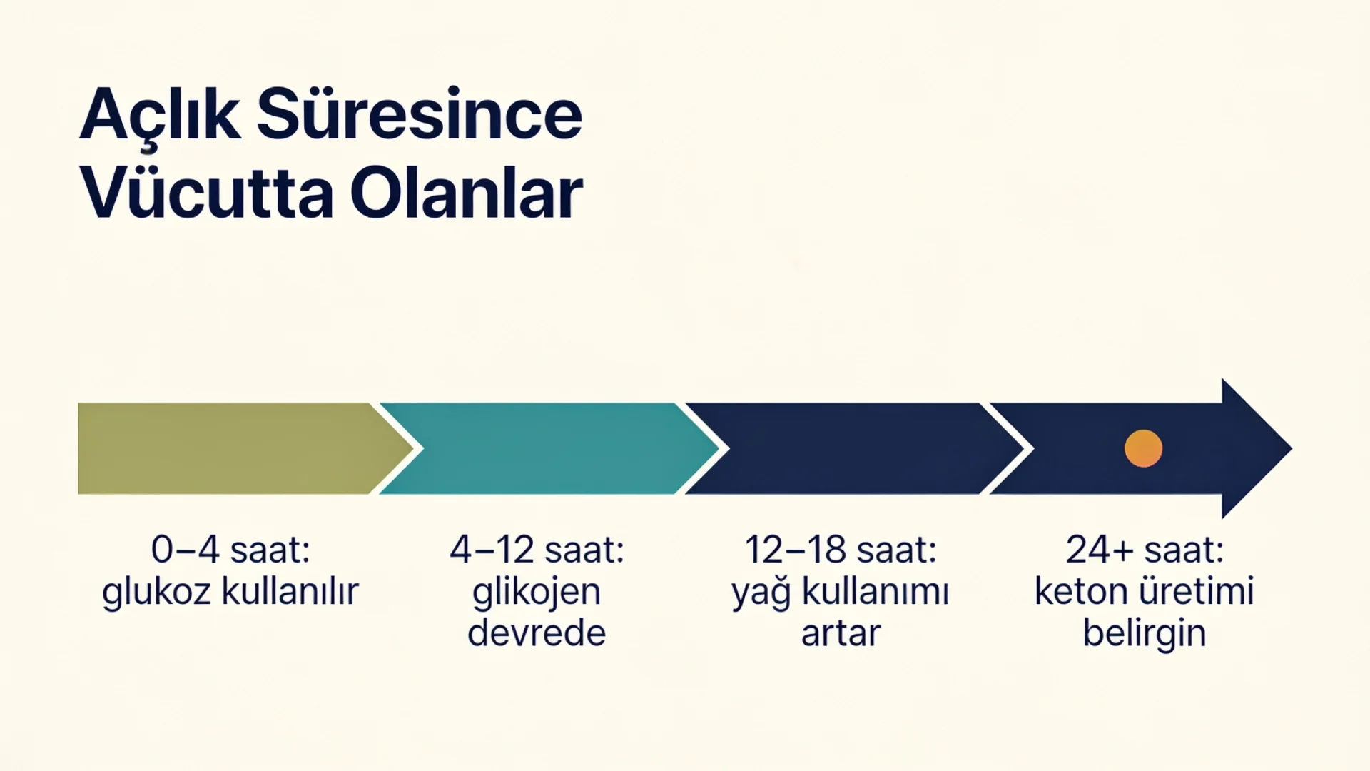 Aralıklı oruçta açlık saatlerine göre glukoz, glikojen, yağ ve keton kullanımını gösteren zaman çizelgesi