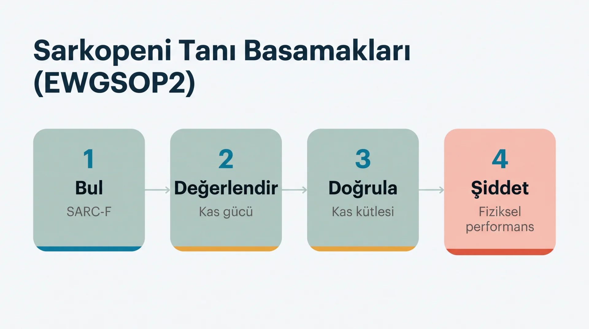 Sarkopeni Tanı Basamakları (EWGSOP2) şeması